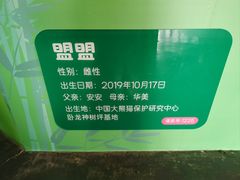 -武汉动物园