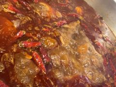 -金鼎雪山牦牛杂火锅(理县总店)