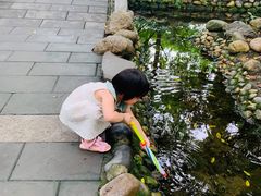 -成都市活水公园