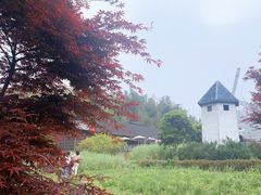 -宁波浙东大竹海景区