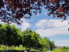 -两河城市森林公园