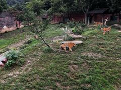 -无锡动物园·太湖欢乐园