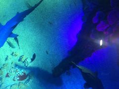 -沈阳海洋探索中心