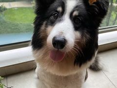 -蒋六十八梯眼镜面(渝中店)