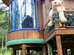 -洛阳白云山景区