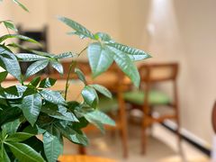 -Reset Coffee 与海咖啡