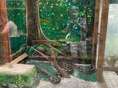 -上海大自然野生昆虫馆(东方明珠·爬宠昆虫探索中心)