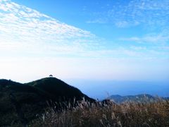 -大围山国家森林公园