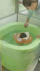 点击看大图 -弗蕾亚·和月月子调理院(东湖店)