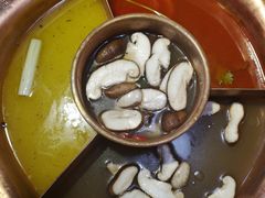 -老诚一锅羊蝎子(黄寺大街店)