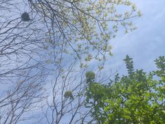 -白塘生态植物园