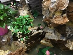 -四川香天下火锅(上海城店)