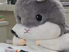 -熊小胖烤肉店(桥北店)