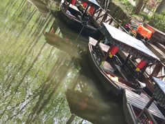 -合肥滨湖国家森林公园