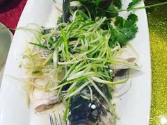 清蒸青斑-鱼乐轩海鲜专门店