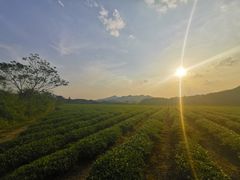 -九曲溪竹筏码头