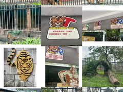 -广州动物园