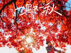 -五角枫生态旅游景区