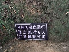 -云南屏边大围山国家公园