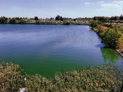 -军山湖云水间生态农业旅游景区