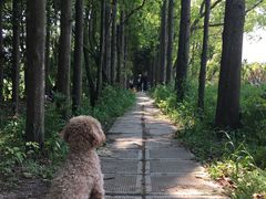 景点-上海长兴岛郊野公园