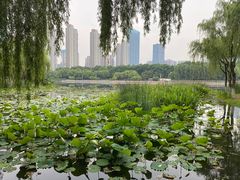 -后襄河公园