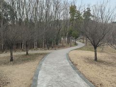 -昆山城市生态森林公园