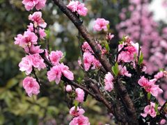 -重庆彩云湖湿地公园