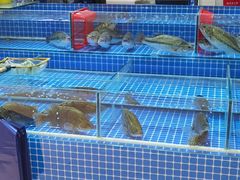 -四道口水产市场
