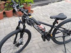 -道路口单车爱瓦士dahon大行