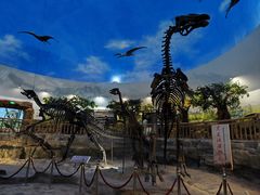 -嘉荫恐龙国家地质公园