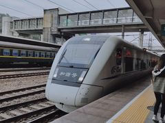 -茶理宜世(东方宝泰店)