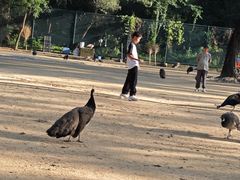 -秦皇岛野生动物园