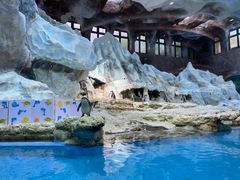 -帝企鹅自助餐厅•儿童岛•真企鹅(长隆企鹅酒店)