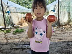 -庞各庄西瓜蔬菜采摘园·锦华瓜园