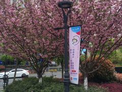 -来伊份1038(新村路三店)