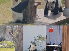 -无锡动物园·太湖欢乐园