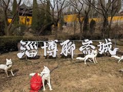-淄博聊斋城景区