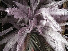 -好乐迪KTV(金钻店)