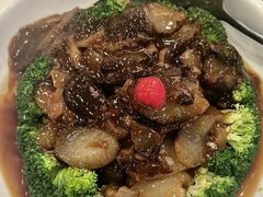 翡翠鲍汁扒海参-江南村酒家