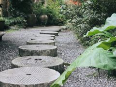 -乐领拈花溪·林涧食韵