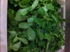 iphone_upload_pic-芦茨金富饭庄·25年老字号·专做稻草鸡