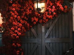 -碧特博格啤酒花园餐厅(芜湖路店)