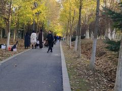 -大蜀山国家森林公园