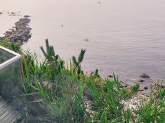 -大连蚂蚁岛度假区