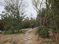 -黄河花园口旅游区