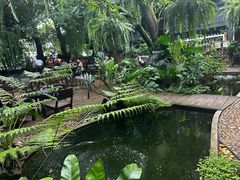-Fern Forest Cafe