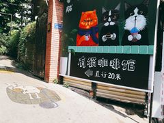 -有猫主题·治愈系猫咖(曾厝垵店)