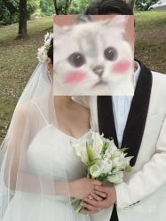 -金夫人婚纱摄影(总店)