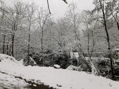 -秦岭终南山世界地质公园翠华山景区